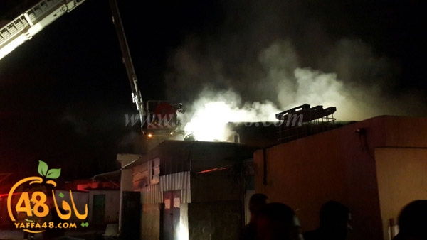 fire manjara (1).jpg